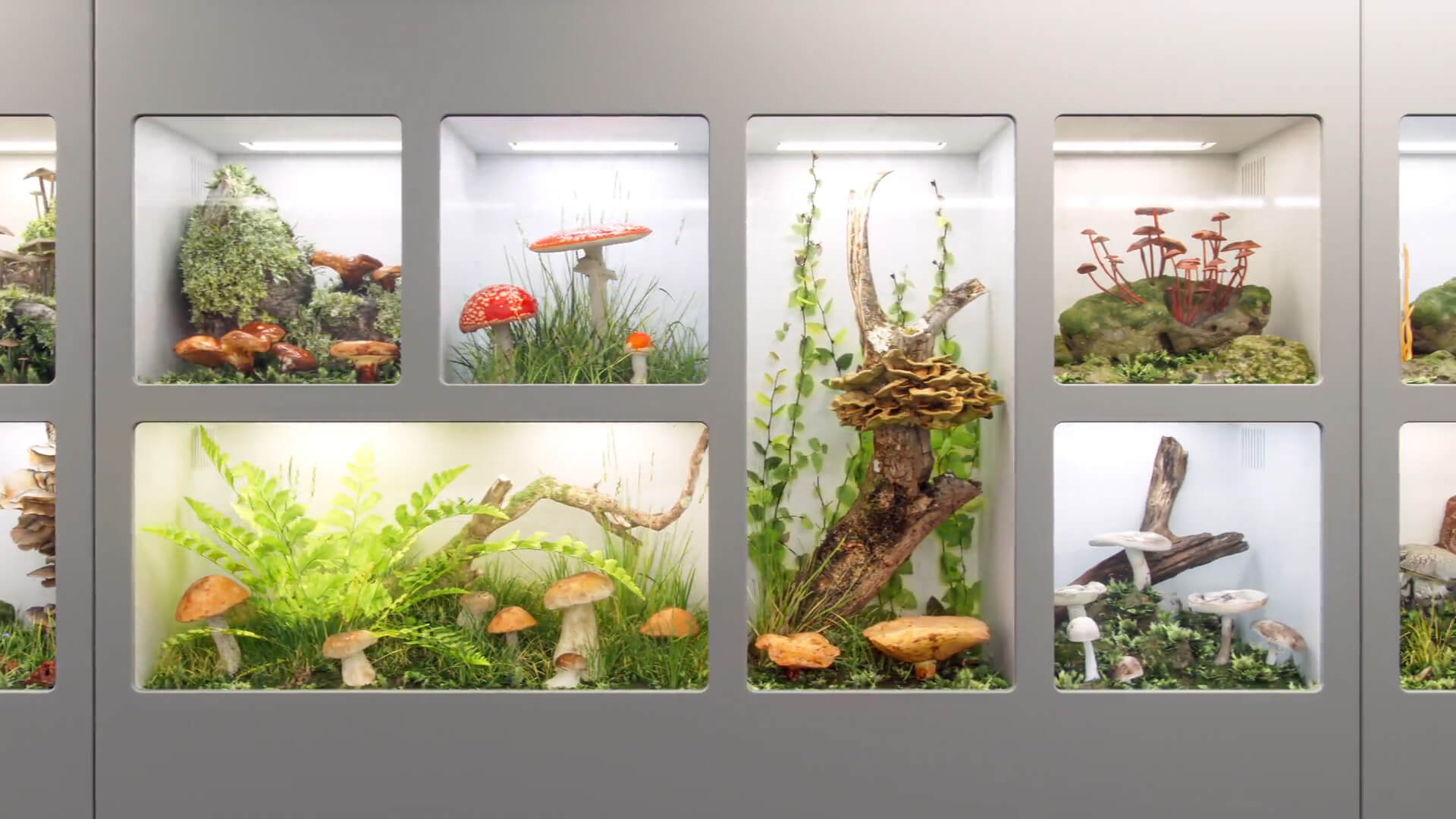 Ecovative_Gallery_04