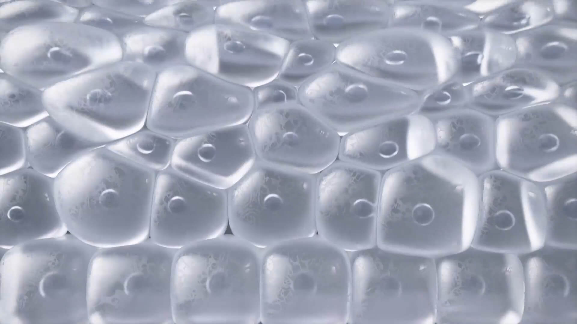 Stratagraft_Cell_Layers_02