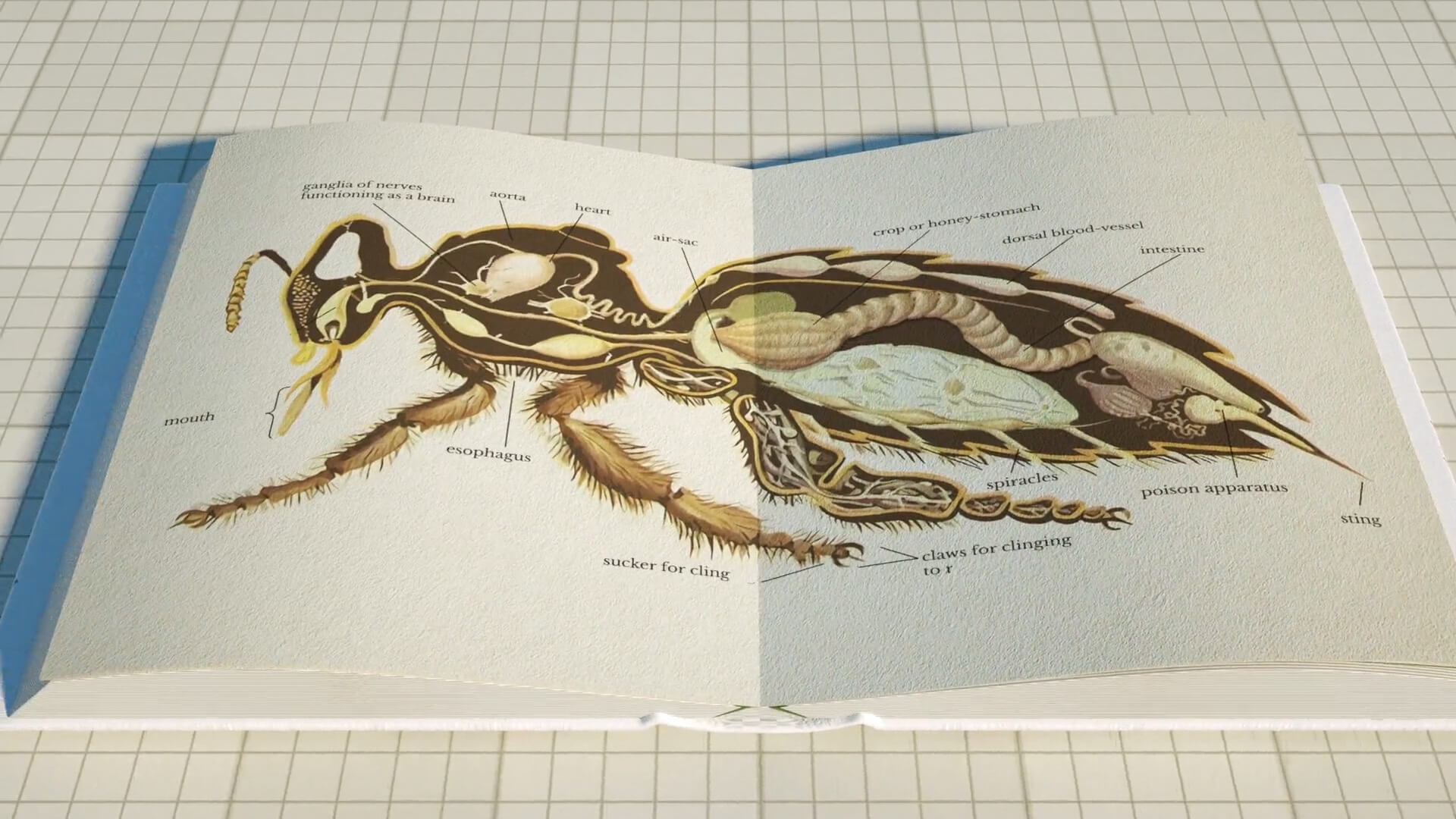 Synthetic_Biology_Blueprint_01