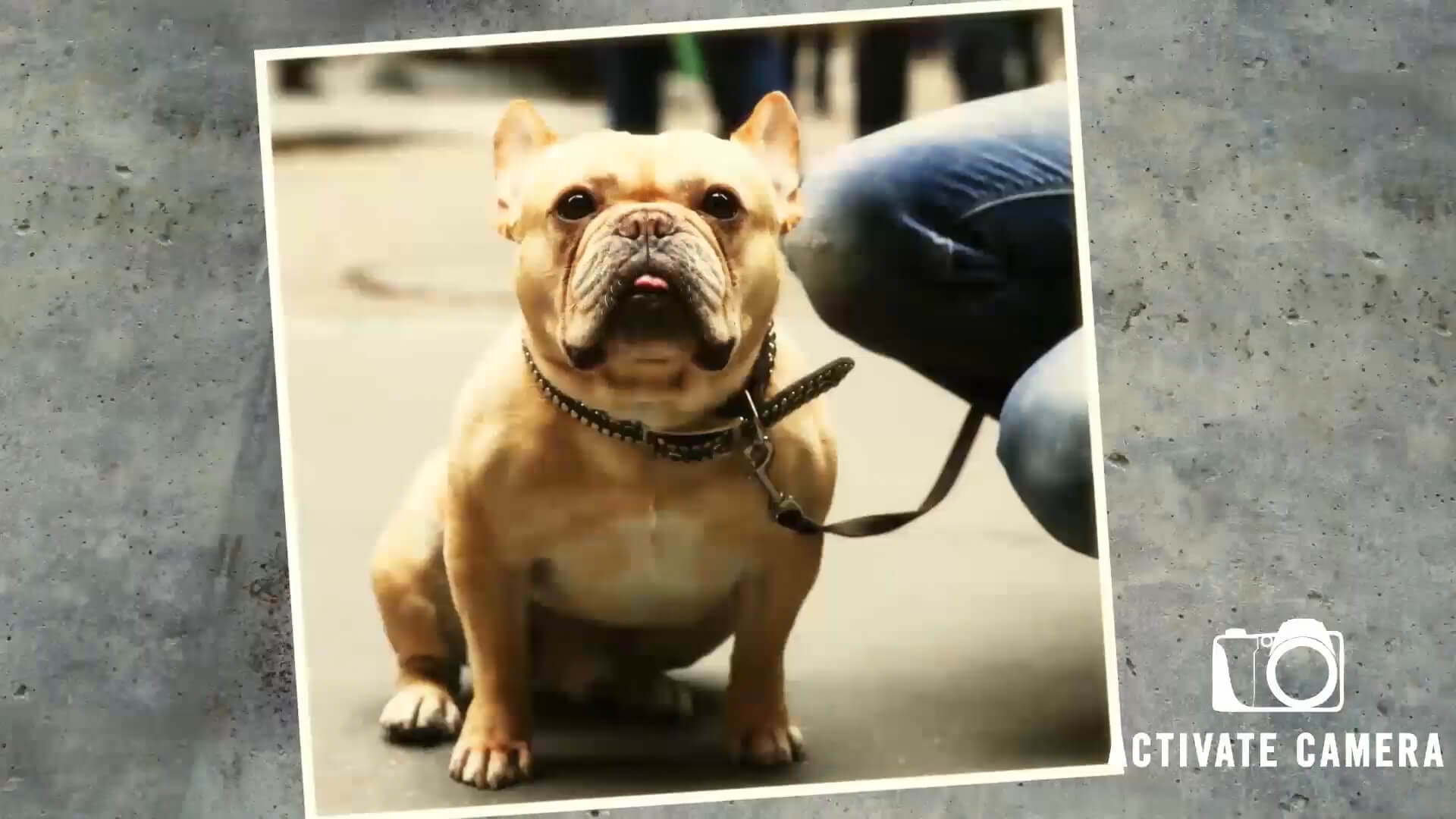 Kenneth_Cole_Gallery_03